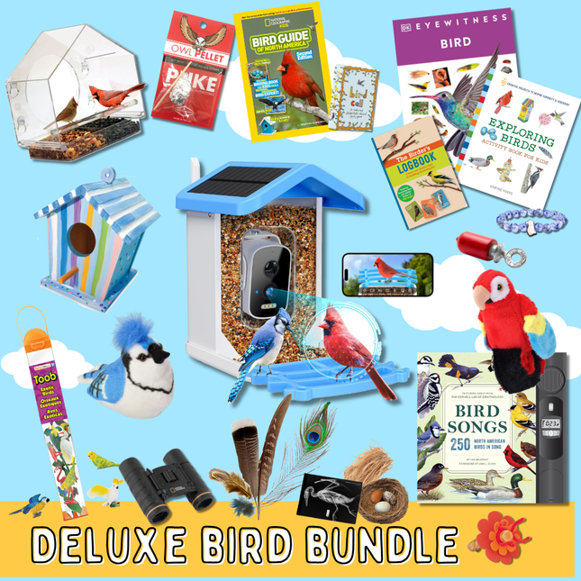 Deluxe Bird Bundle