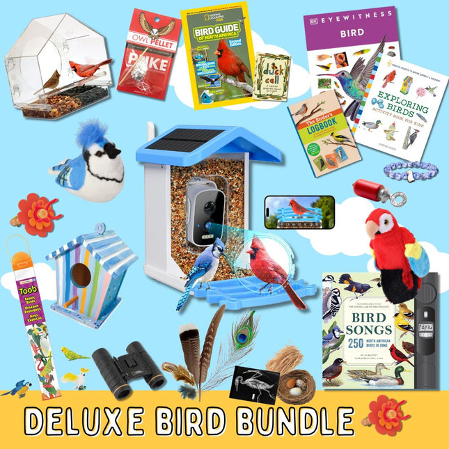 Deluxe Bird Bundle