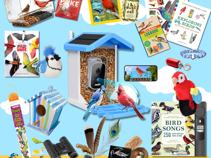 Deluxe Bird Bundle