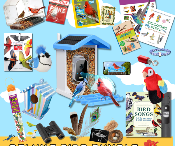 Deluxe Bird Bundle – Easy Peasy Science