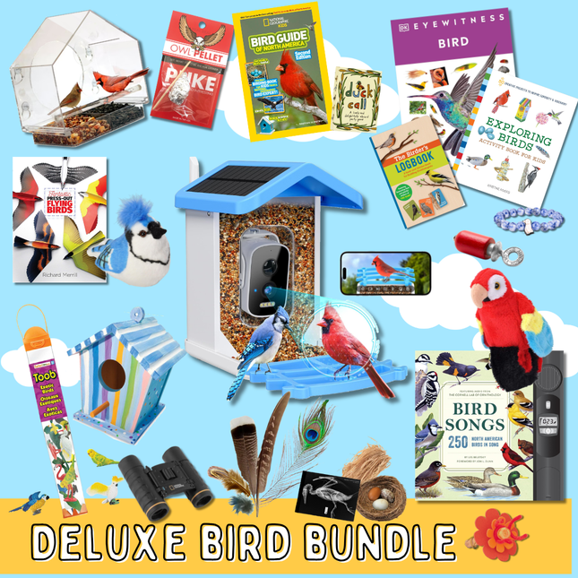 Deluxe Bird Bundle