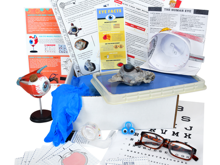 Biology Dissection Subscription Boxes image 6