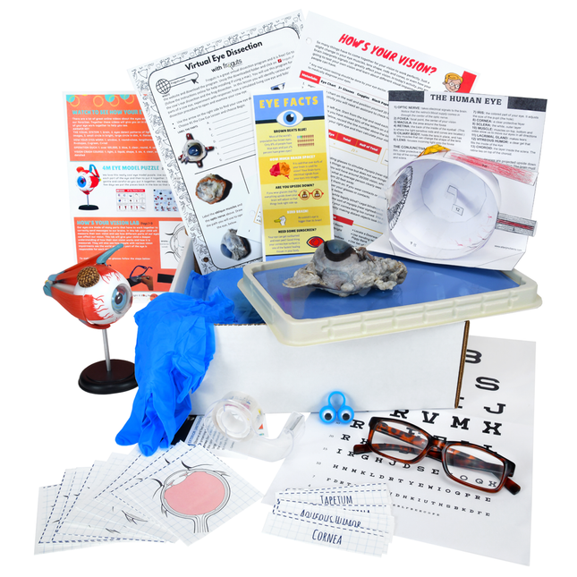 Biology Dissection Subscription Boxes image 6