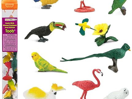 Bird Bundle