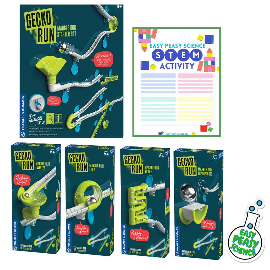 Gecko Marble Run Deluxe Bundle – Easy Peasy Science