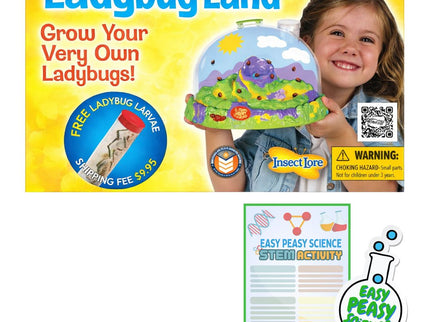 Ladybug Land
