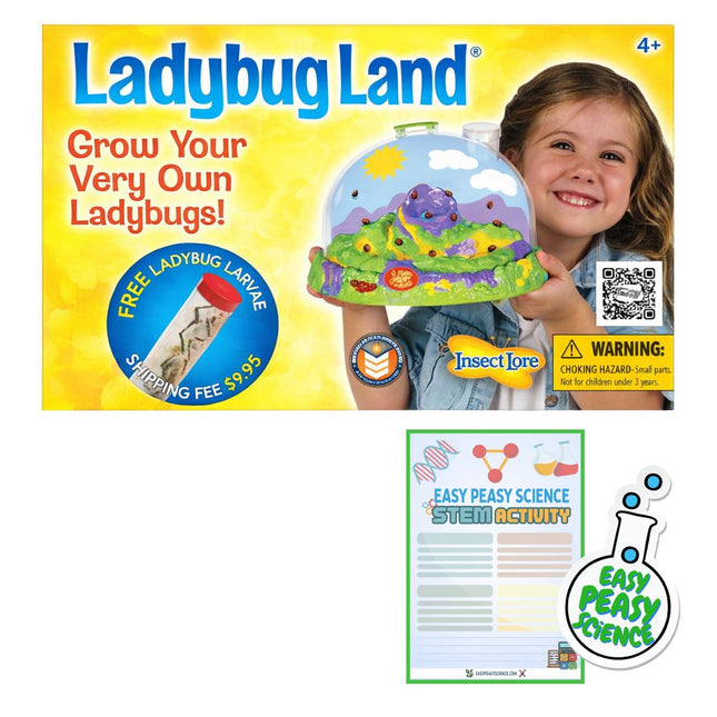 Ladybug Land
