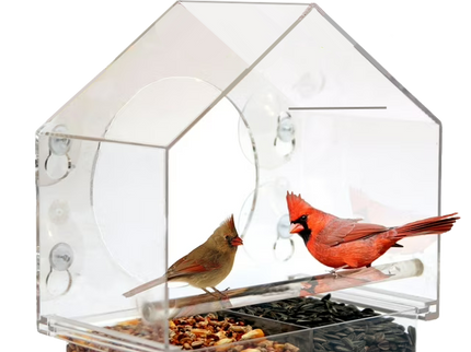 Bird Bundle