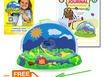 Ladybug Life Cycle Bundle