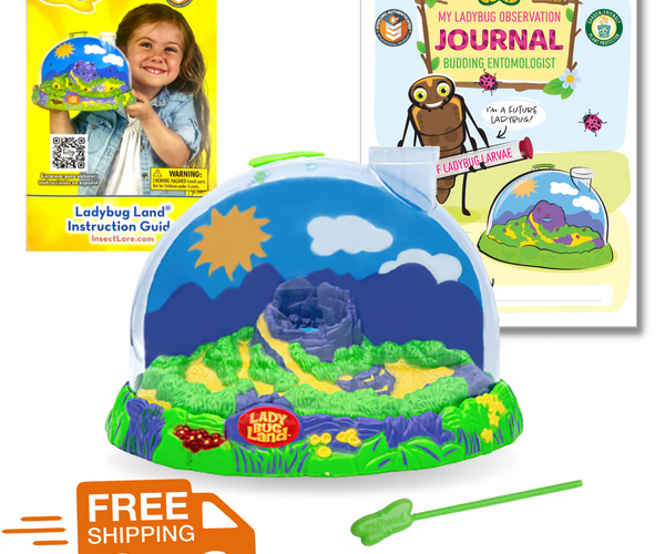 Ladybug Land with Free Shipping and Voucher – Easy Peasy Science