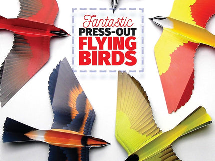 Deluxe Bird Bundle