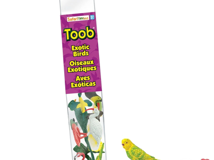 Bird Bundle