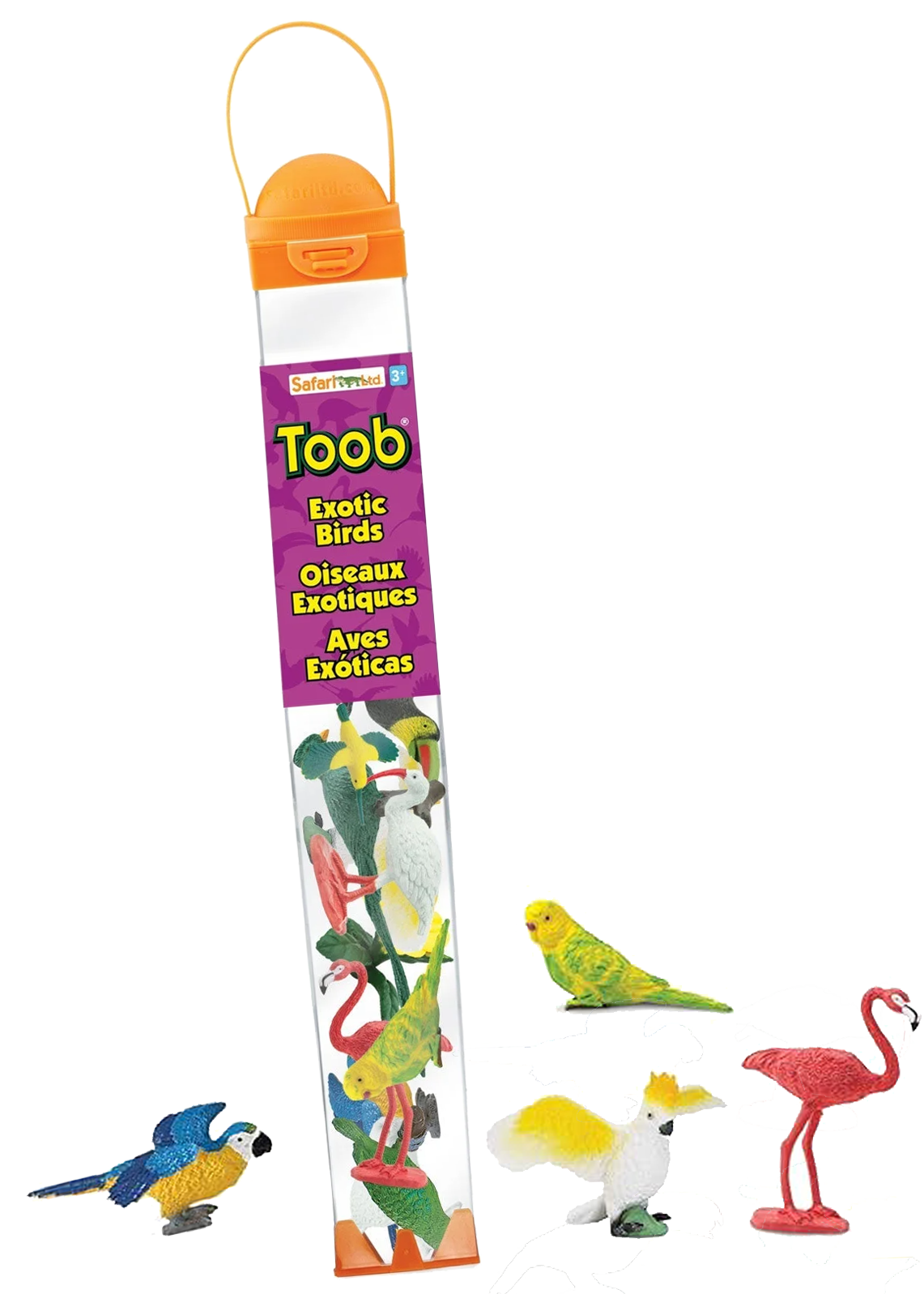Bird Bundle – Easy Peasy Science Bird Bundle – Easy Peasy Science
